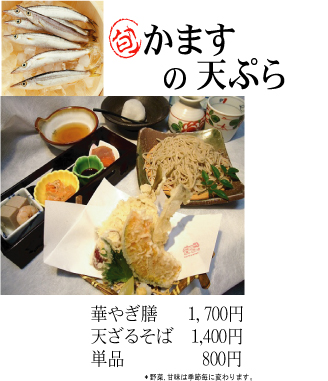 カマスの天ぷら 蕎麦生生 そばきき Sovakiki